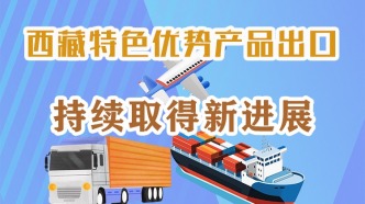 圖解｜西藏特色優(yōu)勢產(chǎn)品出口持續(xù)取得新進(jìn)展