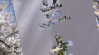 我把蘭大的春天裝進(jìn)A4稿紙里