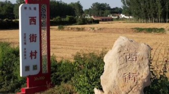 航拍美麗鄉(xiāng)村，美麗庭院，德州市陵城區(qū)神頭鎮(zhèn)西街村美麗風景