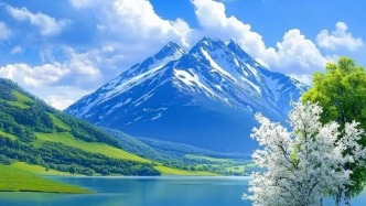 在通往山頂?shù)穆飞?，有一片茂盛的小白楊林，它們互相依偎著，為登山者遮擋?yáng)光