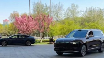 智駕芯片，更卷了