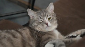 不負春光！烏魯木齊 4 月“城市玩家”指南