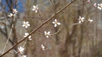 做完這 36 件小事，才算不虛度烏魯木齊的春天