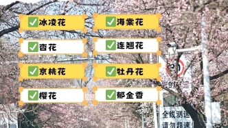 1秒心動(dòng)！長(zhǎng)春春日賞花攻略