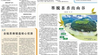 墨脫茶香出山谷