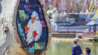 大工凌水湖，又添“新朋友”！