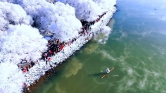 倚仗冰雪更要超越冰雪，寒地優(yōu)勢如何長久破局？