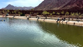 “農(nóng)”墨重彩　“融”出活力：紅古民和攜手打造河湟打卡季