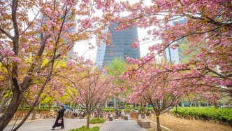 最美人間四月天