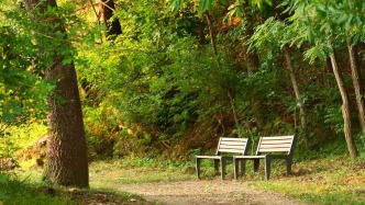 生态艺术治疗｜公园闲逛指南（春季篇）：在自然中重拾平静与活力