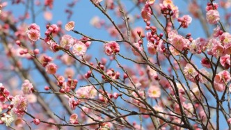 這個(gè)春天，用一場色彩漫步打開濟(jì)南！