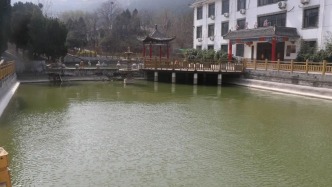 繁花盛景、青山林海、露營采摘，濟(jì)南這些地方帶你放空~