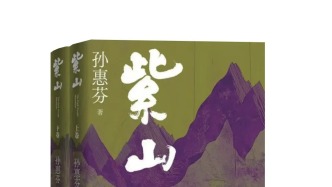 好書賞讀 | 在大敘事中實(shí)現(xiàn)創(chuàng)傷的自我救度——評(píng)孫惠芬的長(zhǎng)篇小說(shuō)《紫山》