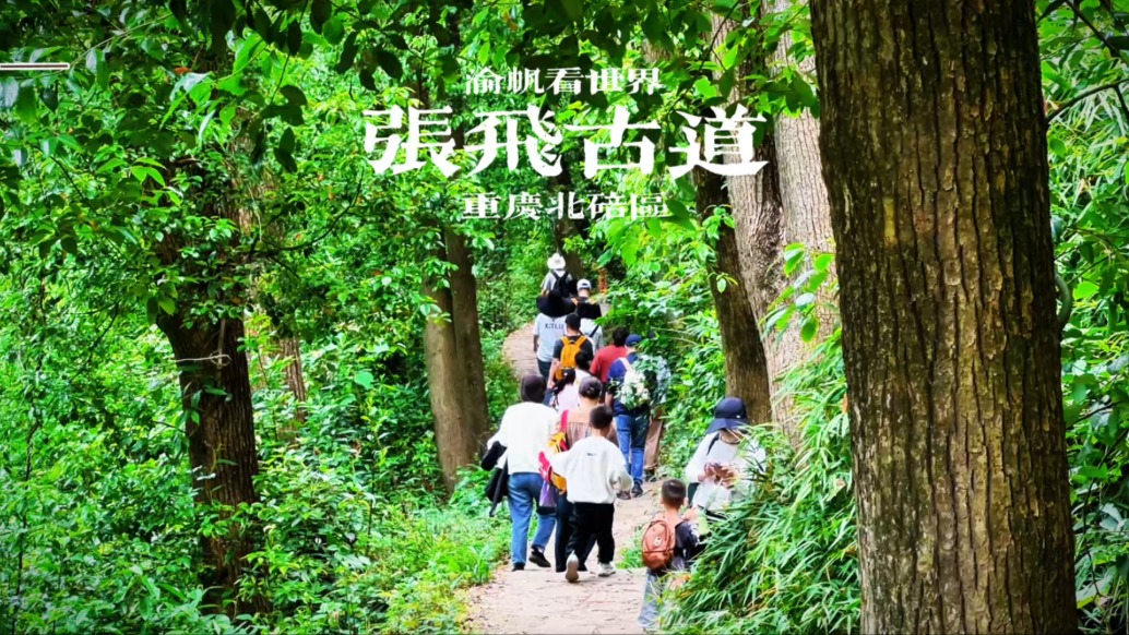 漫游重慶張飛古道，沿途古樹參天，濃蔭蔽日，親子徒步超舒服