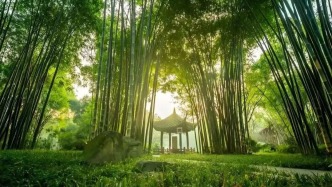 春日赴约！遇见家乡最美模样