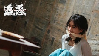 《追恶》：那个年代，被拐的女孩和不肯认命的警察