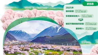西藏波密 “桃花红”化作“发展红”
