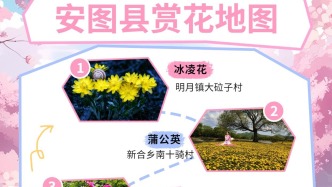 一沐繁花，遇見(jiàn)安圖