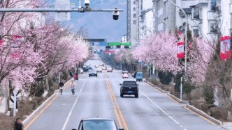 刷屏！集安美成這樣了~