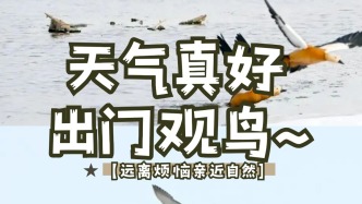 小鳥：你“愁”啥？愁就看看我~
