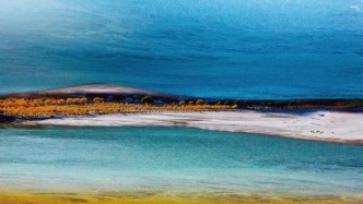 ?牦牛“馱”來(lái)致富新希望