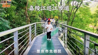 重庆热门徒步线路：起于金刚碑，止于澄江老街，古树参天风光秀美