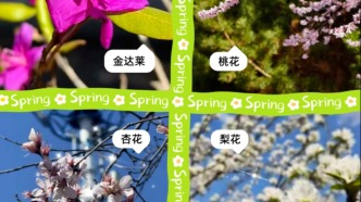 “花开名单”请查收→未完待续版......