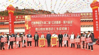 算好“三筆賬” 走好振興路——昌都市芒康縣洛尼鄉(xiāng)助農(nóng)增收記