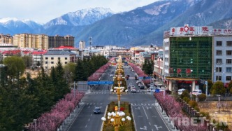 十里桃花映新城——林芝“桃花城”繪就春日盛景 生態(tài)賦能高質(zhì)量發(fā)展