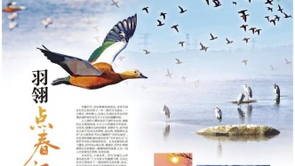 羽翎點春江 和鳴悅大東