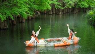 湛江、中山的朋友！免票啦！