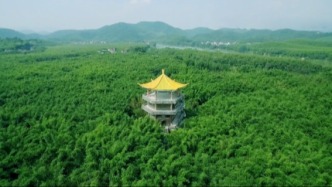 廣寧竹制好物，驚艷亮相！