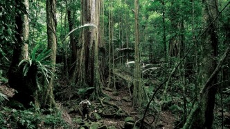 織密生態(tài)防護(hù)網(wǎng) 青山綠水惠民生 