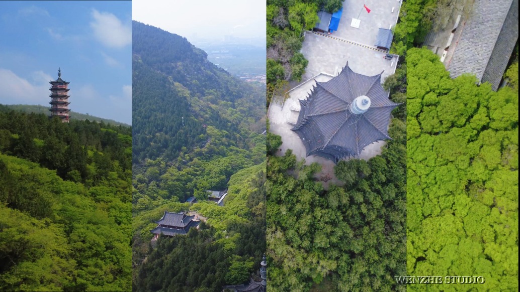 峄州印象 | 幽谷青檀，翠茶亭东