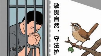 捕鸟32只，一男子被拘役3个月！