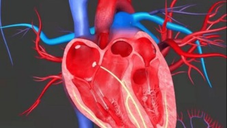 經(jīng)常心慌、胸悶、心悸，是心臟有問題？