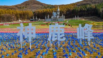 春啟鹿鳴，神鹿峰開園首日迎客流高峰！