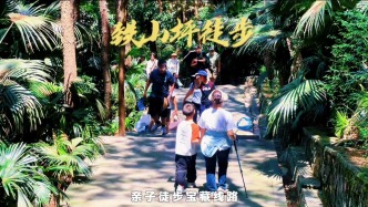 两江新区铁山坪，重庆近郊徒步好去处，林荫覆盖，平缓舒适