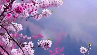 名家美文 | 黄秀生：人间最美四月天