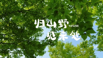 峄州印象 | 西峰过雨，青檀春浴