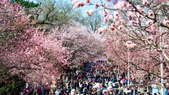 春天的最后一個(gè)節(jié)氣，來(lái)啦！