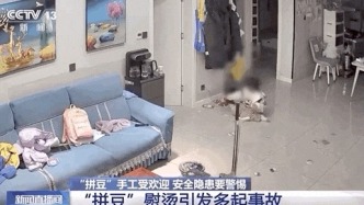 幾秒飆到183.4℃！孩子玩的“拼豆”小熨斗，竟能把豬皮燙熟？