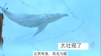 教科书不骗我！雁阵一会排成“一”字一会排成“人”字，课本里的场景具象化了