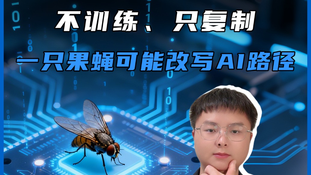 颠覆认知！不训练、只复制，一只果蝇可能改写AI路径
