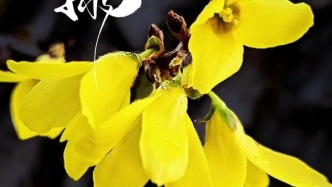 CityBoat聽過沒？上船！啟航→