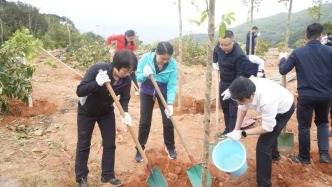 “人才林”中植新綠，鹽田區(qū)高層次人才攜手播種“黃金”希望