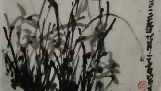 兰草里的乱石皴——“另类”兰草