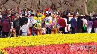临夏州永靖县2026年郁金香文化旅游系列活动拉开帷幕