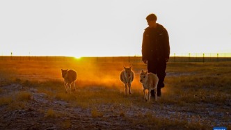 圖片故事丨羌塘“無人區(qū)”深處的生態(tài)衛(wèi)士