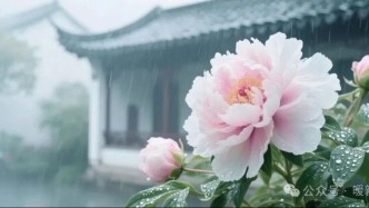 夜读｜春之牧